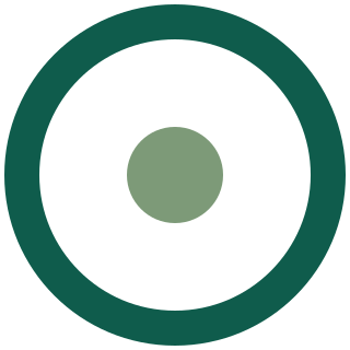 jade disc + check orbit 4 on flashusdtpro.me